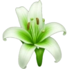 Emoji ios 18.1 green 💚 9