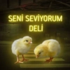 SENİ SEVİYORUM DELİ