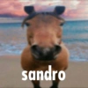 sandro