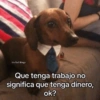Memes con texto 7🏝️👀 6