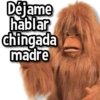 Déjame hablar chingada madre
