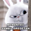 Rabbit Putih 🐰 8
