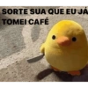 Bom dia fans 10