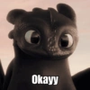 Toothless & Lightfury 6