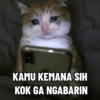 Kucink bucin lagi 15