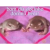 PRO AMORZIN 10