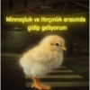 neoncivciv Minnoşluk ve Hırçınlık arasında gidip geliyorum