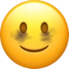 Emoji iPhone  13