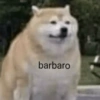 barbaro