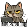 My cat memes 😂🐈 14