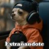 Extrañandote