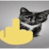 Gatitos😹 9
