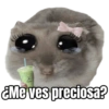 ¿Me ves preciosa?