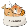 Paws Up With CHAGEE 5