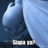 Toothless & Lightfury 8