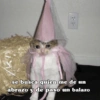⋆🐾 gatos tristes ᓚ₍ ^•⁠ ⁠ᴥ •^₎ 19
