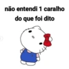 não entendi 1 caralho do que foi dito 0
