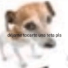 Animalitos Anti-depresivos 3 😼 18