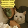 eu tentando dormir domingo à noite Sabenodo q o outro dia já é segunda: