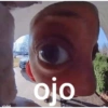 vivint. ojo