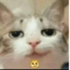 Meme ngakak jokes 25
