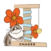 Paws Up With CHAGEE 15