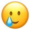 Emoji iphone 23