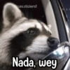 @rose.stickers1 MAR Nada, wey