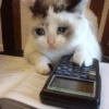 Gato triste bien sad 😿😭 14