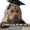 Monitos para graduados 🎓 13