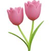 Pink 22