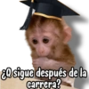 Monitos para graduados 🎓 11