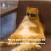 Animalitos Anti-depresivos 3 😼 14