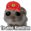 Te amo Hamilton
