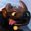 Toothless & Lightfury 13