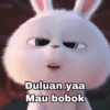 Rabbit Putih 🐰 14