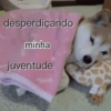 desperdiçando minha juventude