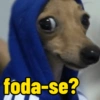 Ironia e deboches  11