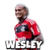 pirbol Sile Sile BB WESLEY
