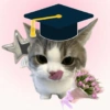 Kucing wisuda 9