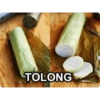 PER 2010 TOLONG