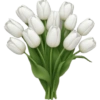 Emojis ios 18 🌷.2 20