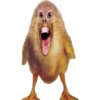 Reações & shitpost 16