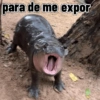Moo deng meme 9