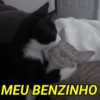 MEU BENZINHO