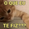 RESPOSTAS RÁPIDAS 14