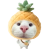 Miaw miaw 1 11