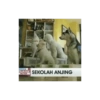 Satir 18