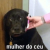 SOU EU NA VIDA 15
