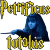 Hechizos Harry Potter • Est AA 18